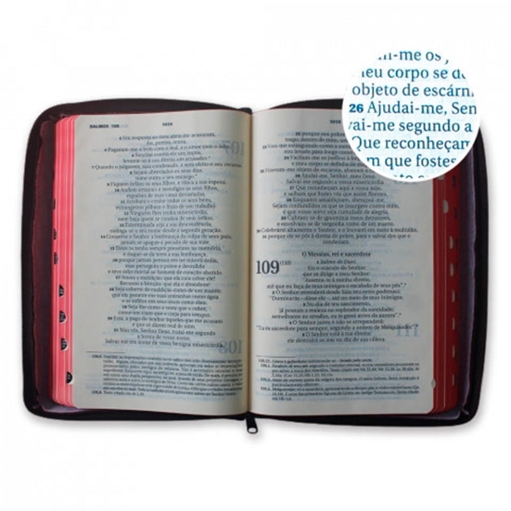 Ave Maria Bible - Large Print Brown Zipper