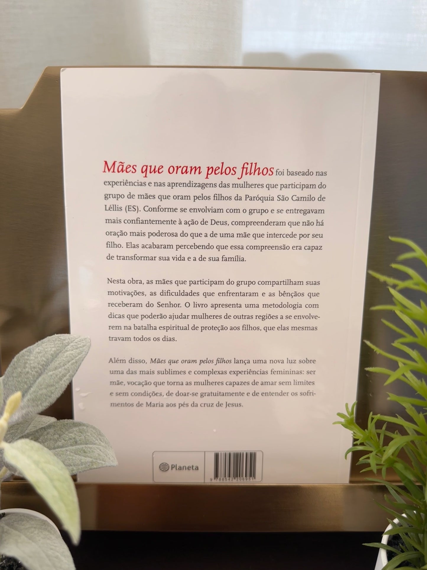 Libro: Madres que oran por sus hijos