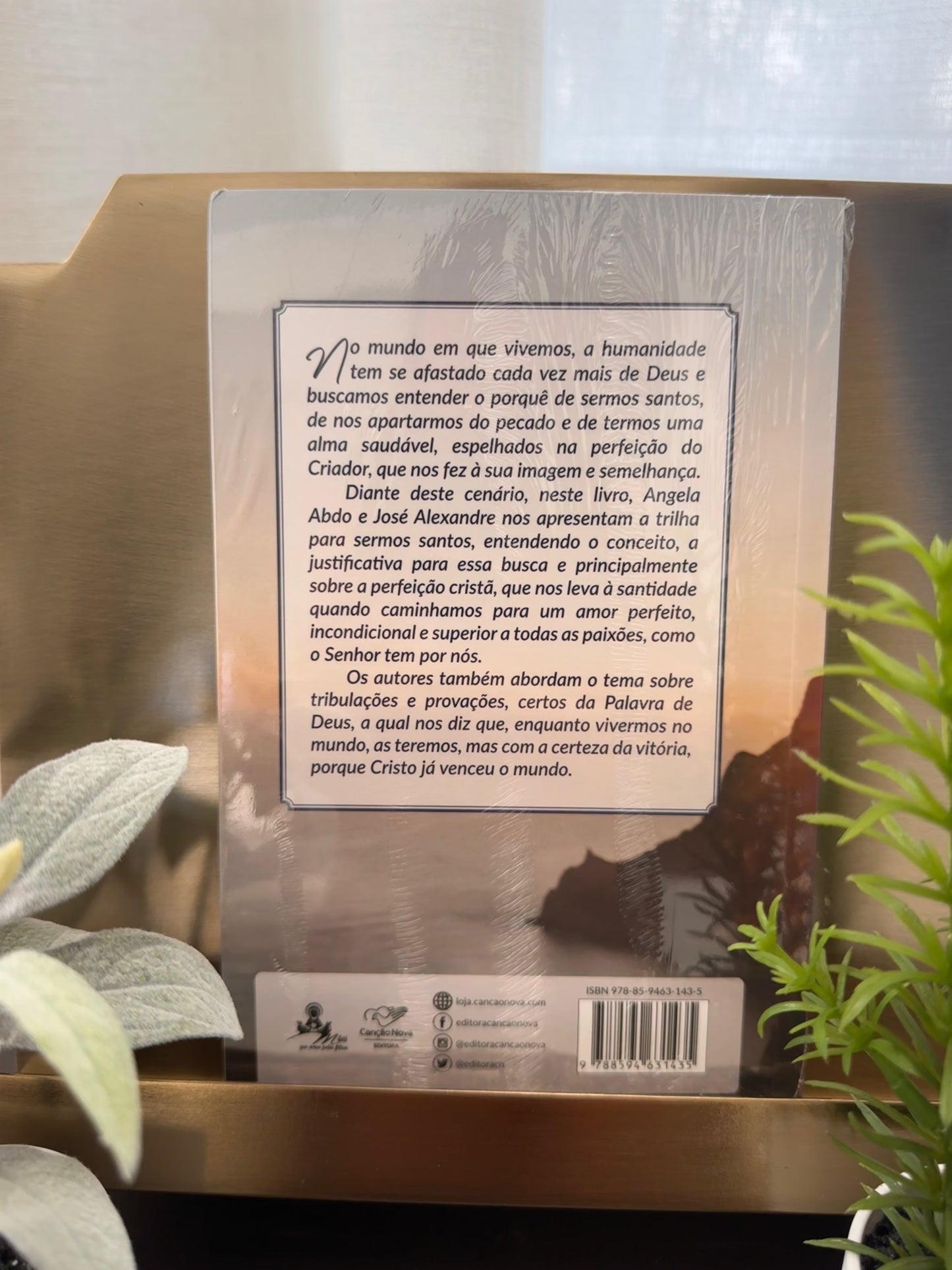 Livro: Santidade um Caminho para a Vida