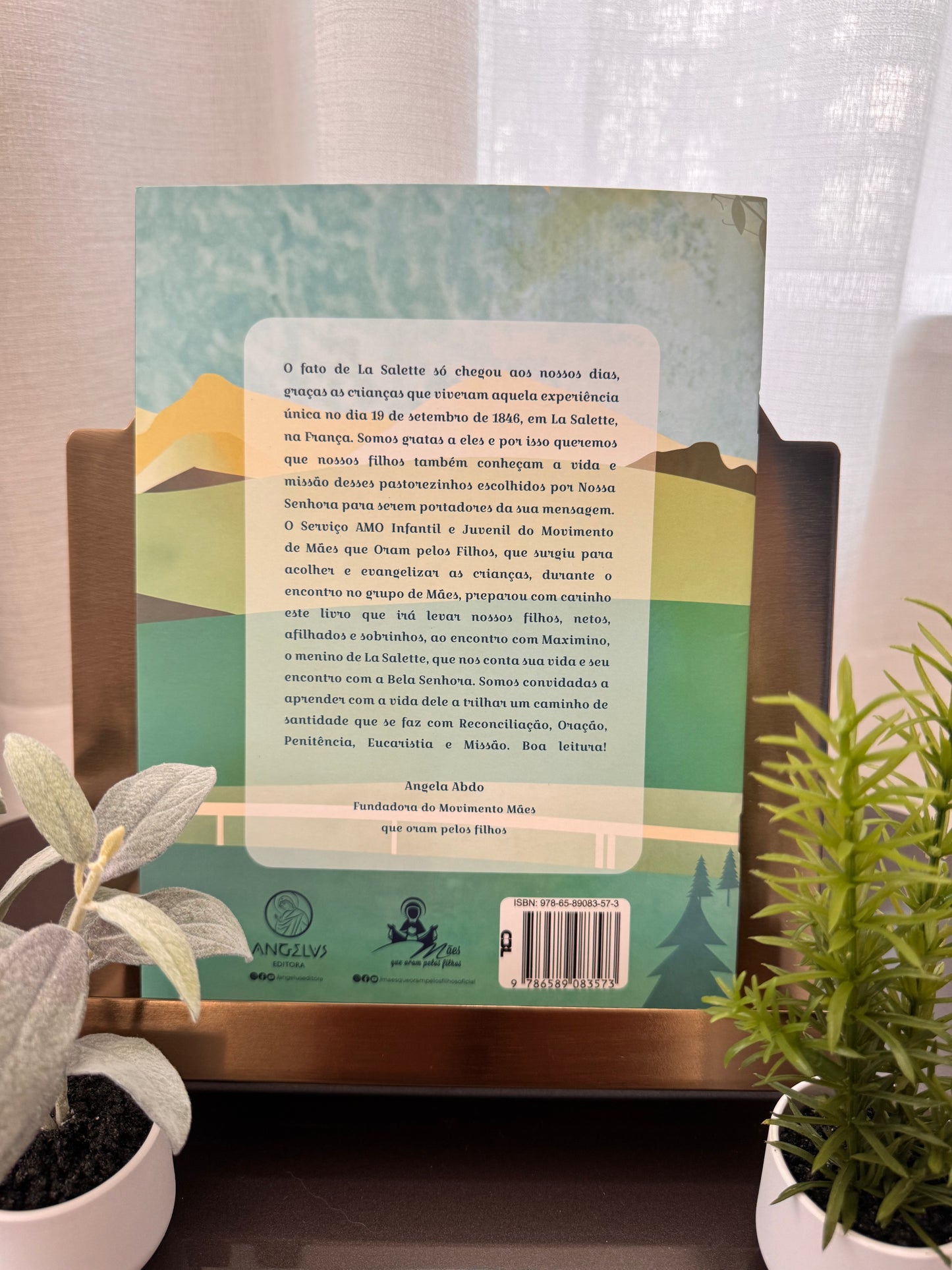 Livro: Maximino O Menino de La Salette