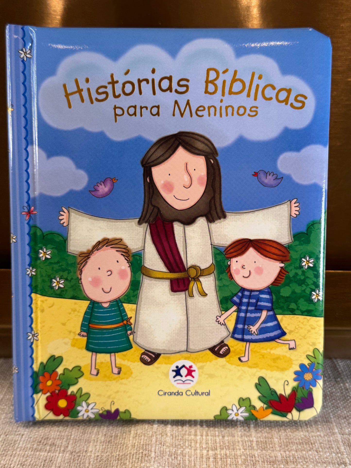 Book - Bible Stories for Girls or Boys - New Version