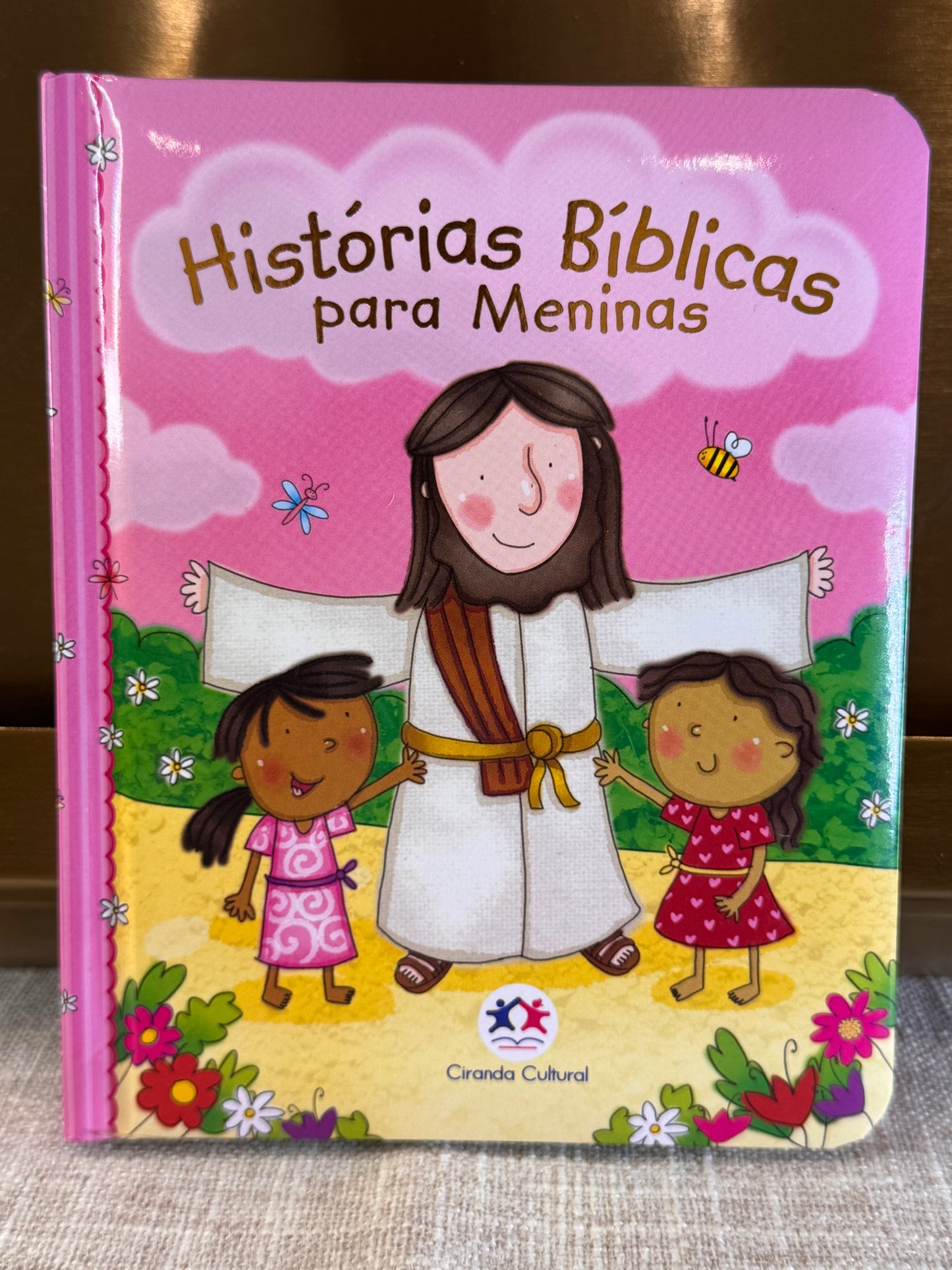 Book - Bible Stories for Girls or Boys - New Version