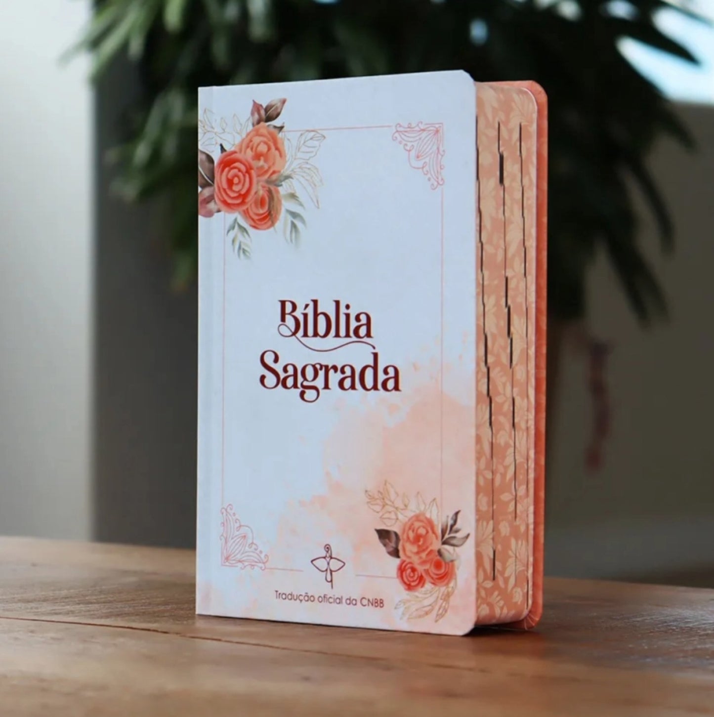 Holy Bible CNBB – Salmon Cover for Women (Official Translation)