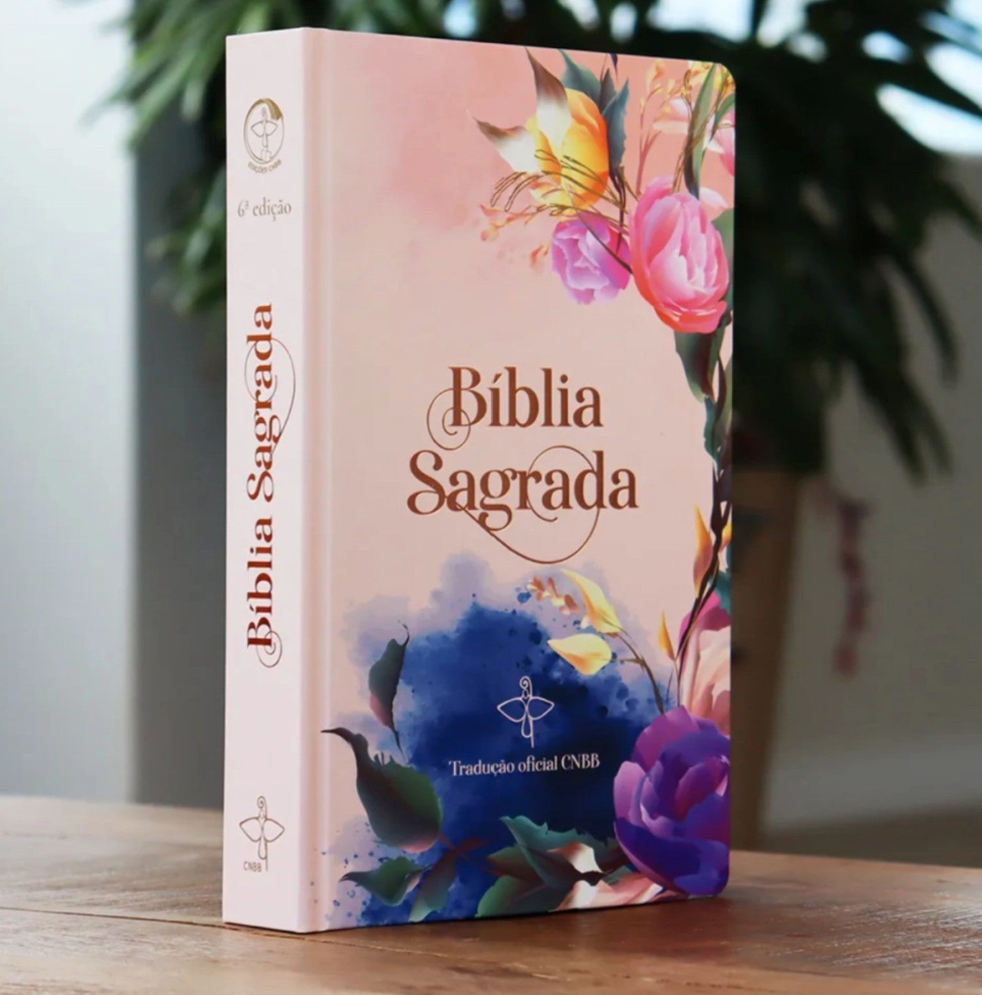 CNBB Holy Bible – Large Print (Female Cover)