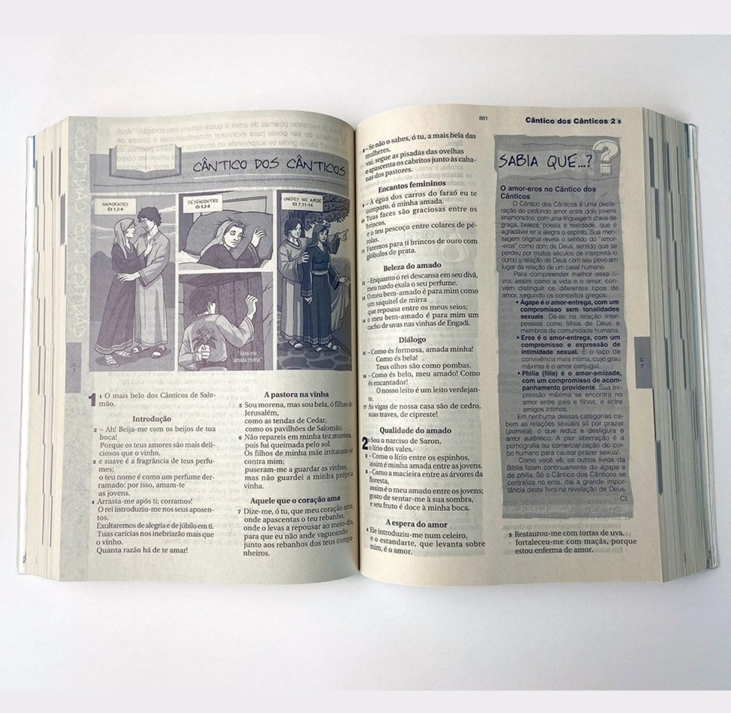 Catholic Bible for Young People – Ave Maria Publishing