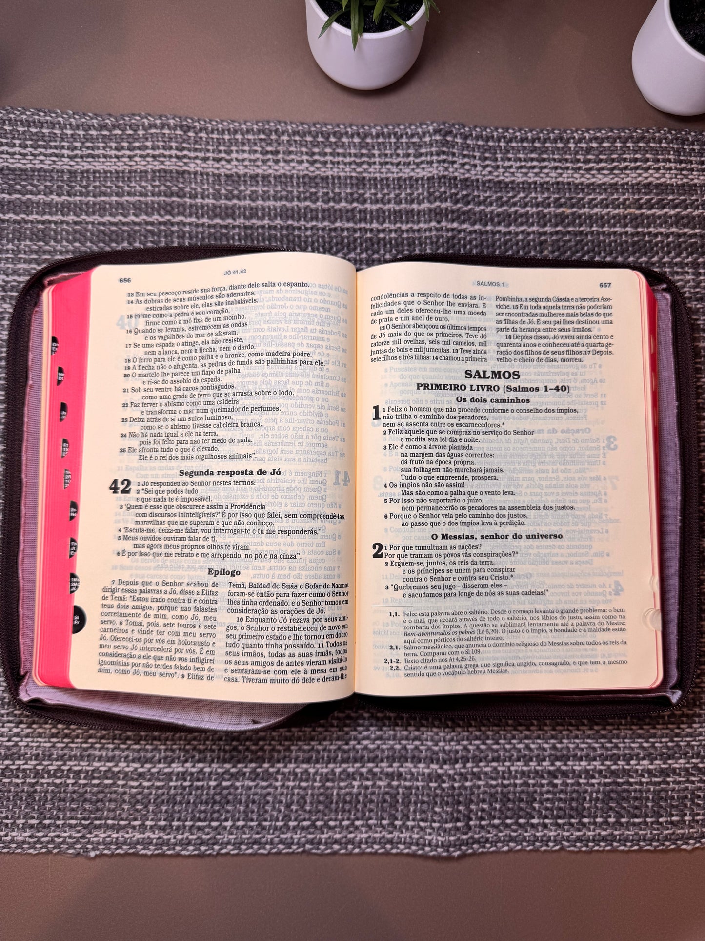 Brown Zipper Bible