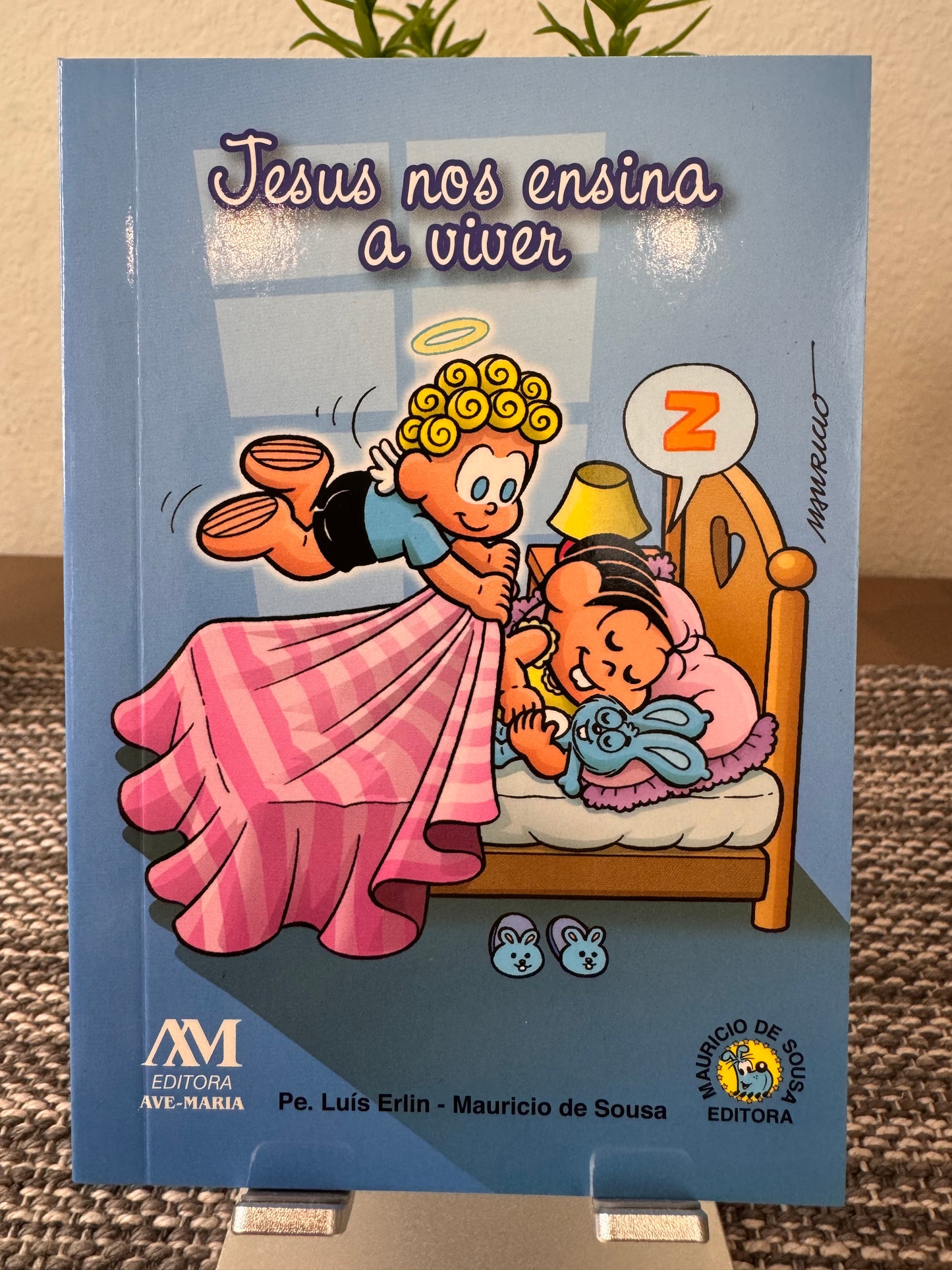 Book - Jesus Teaches Us How to Live - Monica's Gang