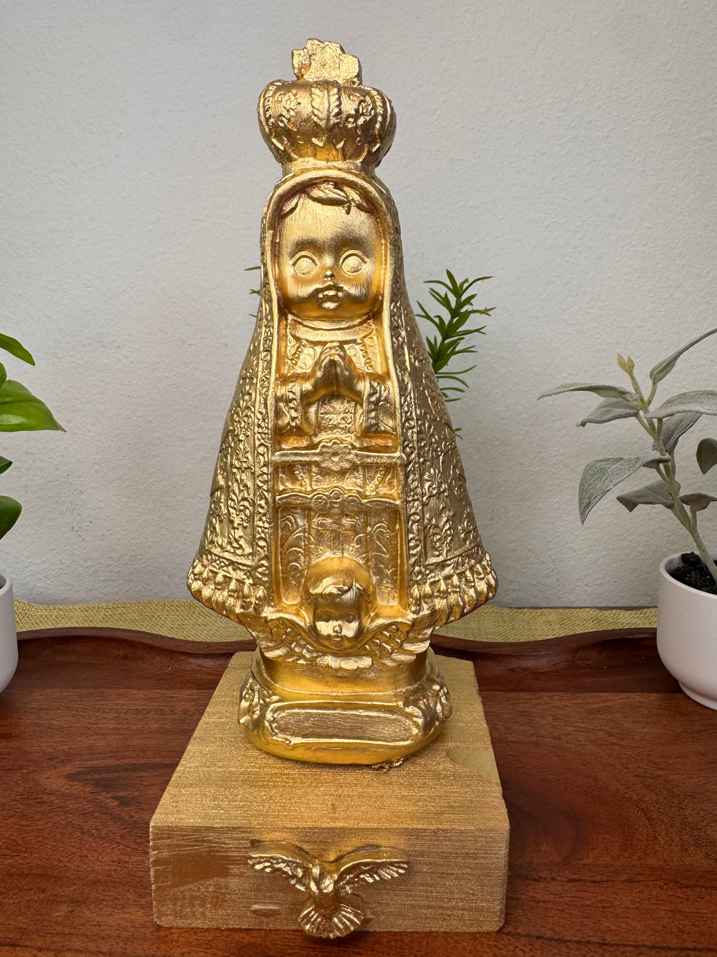 Our Lady of Aparecida - Enchantment