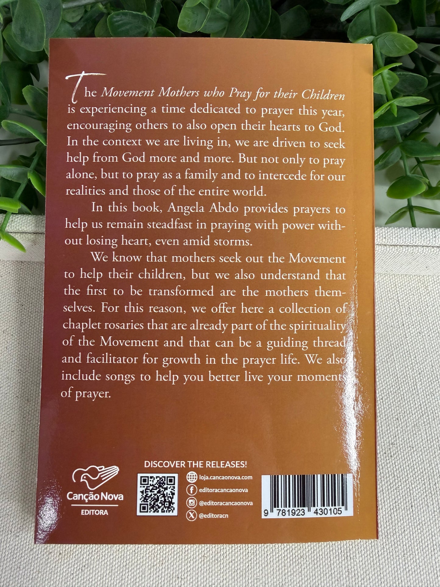 Livro Crying Out with Power – On the Path to Holiness (Clamando com Poder em Inglês)