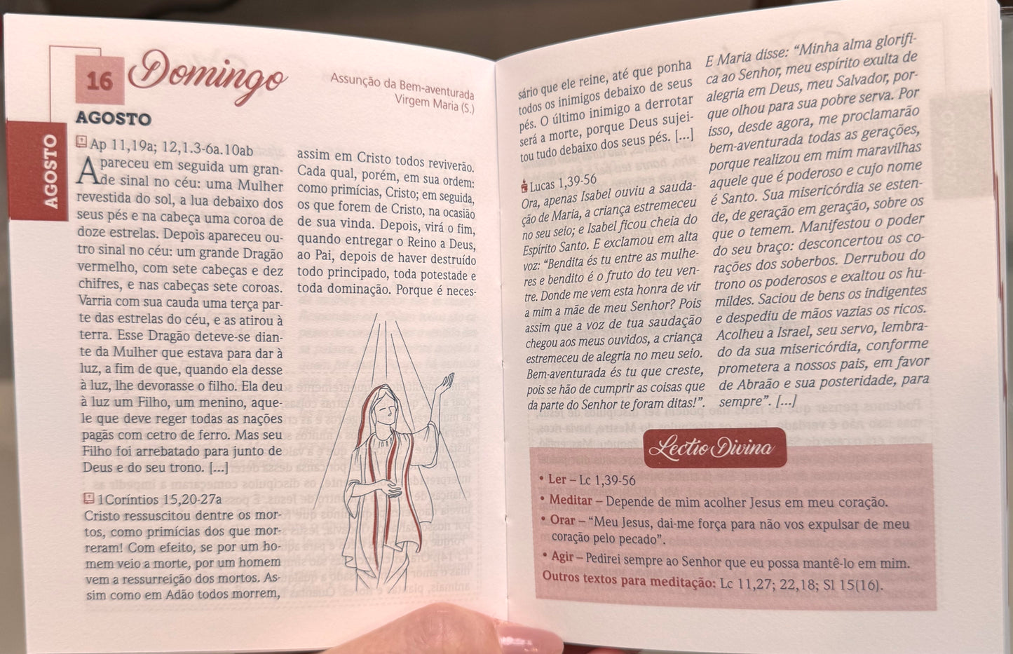 Palavra e Vida 2026 – O Evangelho comentado a cada dia