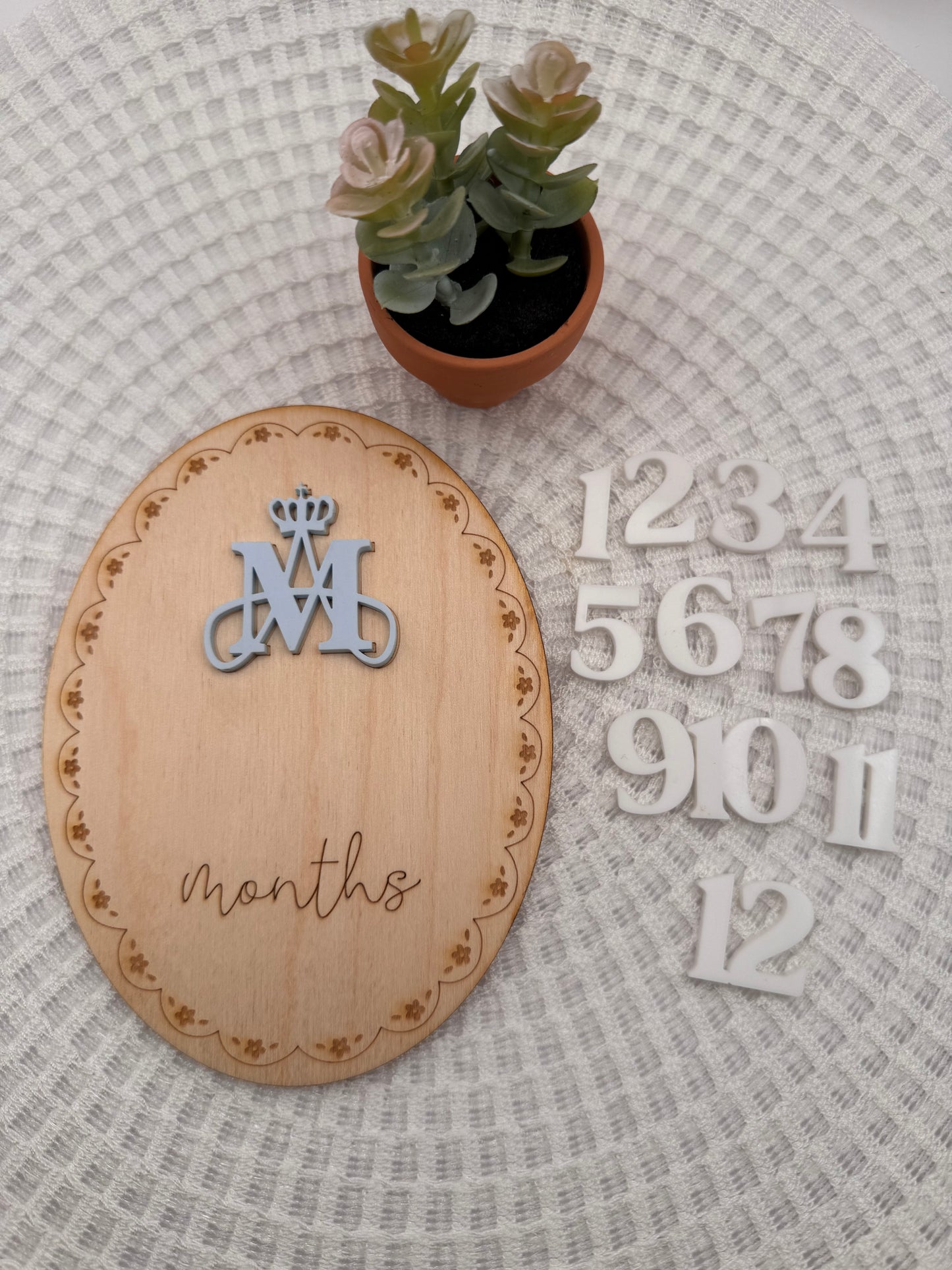 Auspice Maria Catholic Baby Monthly Milestone Card