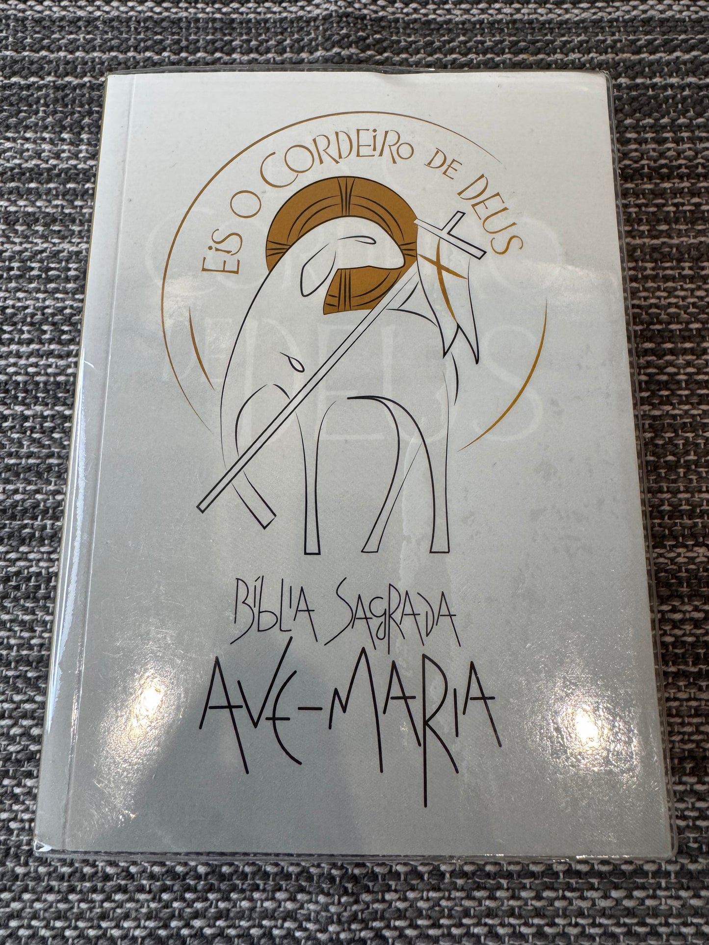 Holy Bible Hail Mary - Behold the Lamb of God