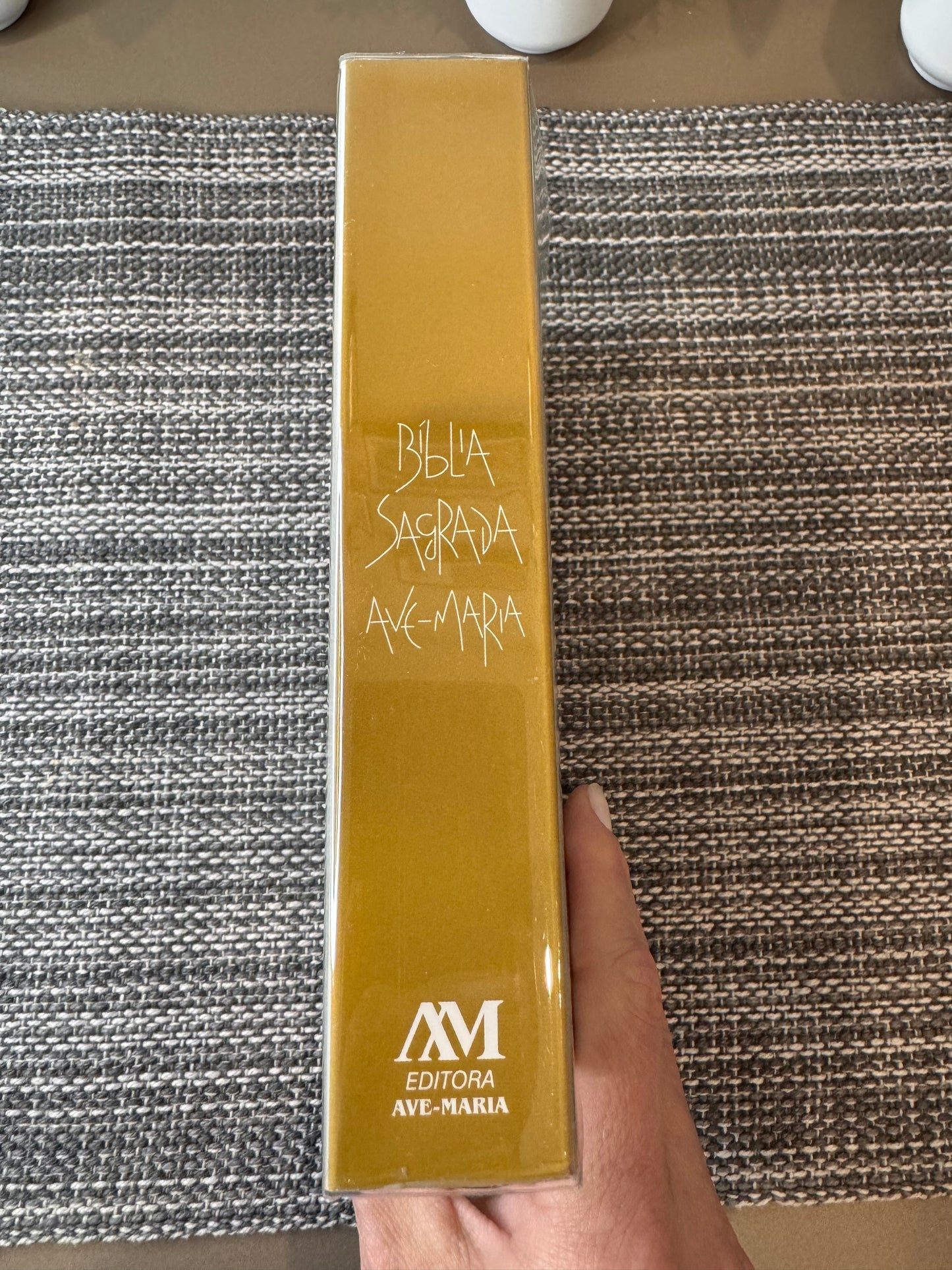 Holy Bible Hail Mary - Behold the Lamb of God