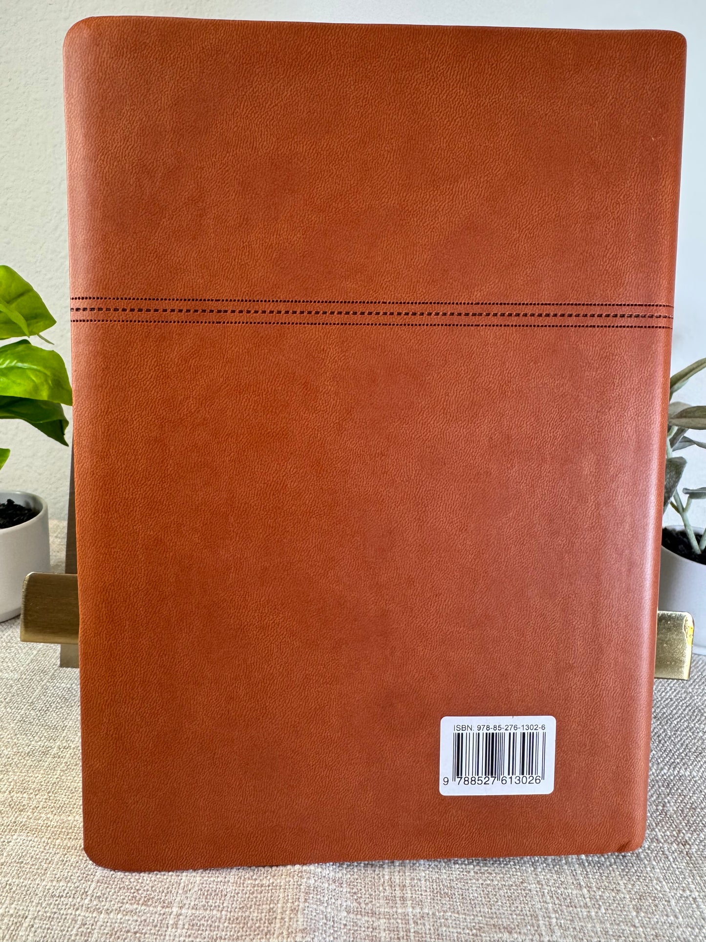 Ave Maria Study Bible