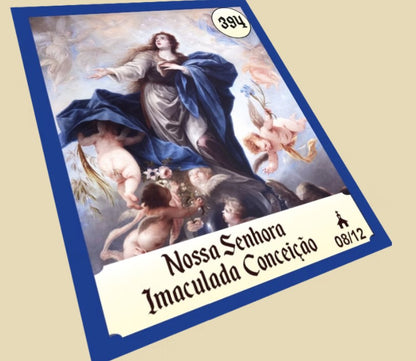 Álbum com 5 Pacotes de Figurinhas - Castelo Interior