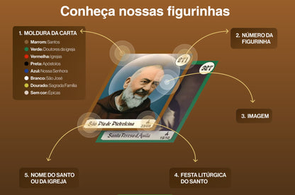 Álbum Completo com Todas as Figurinhas - Castelo Interior