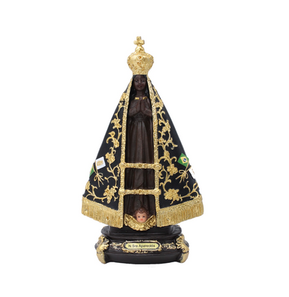 Imagem Nossa Senhora Aparecida em Resina
