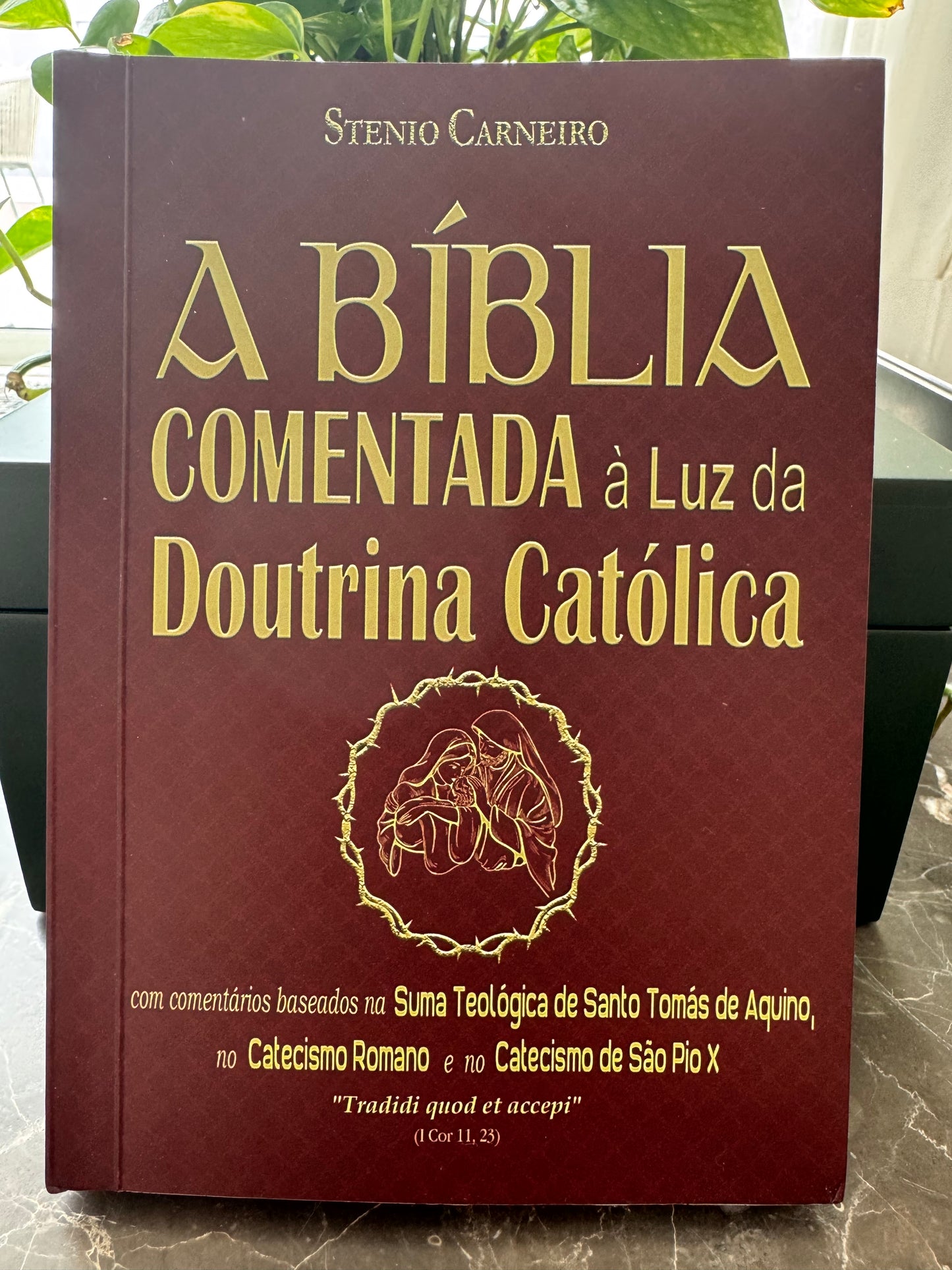 The Bible commented in the light of Catholic Doctrine - Stenio Carneiro