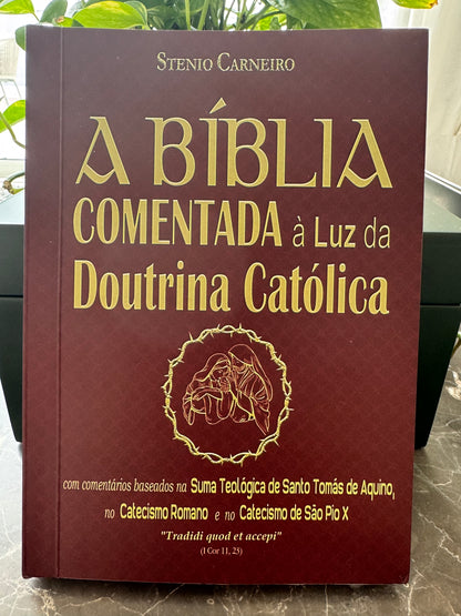 The Bible commented in the light of Catholic Doctrine - Stenio Carneiro