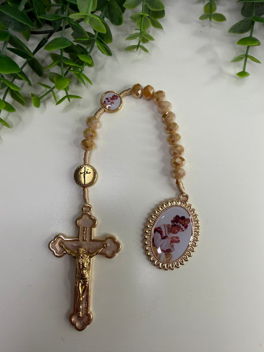 Dezena Marcador de Bíblia de Nossa Senhora de La Salette