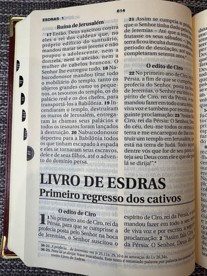 Biblia Letra Grande