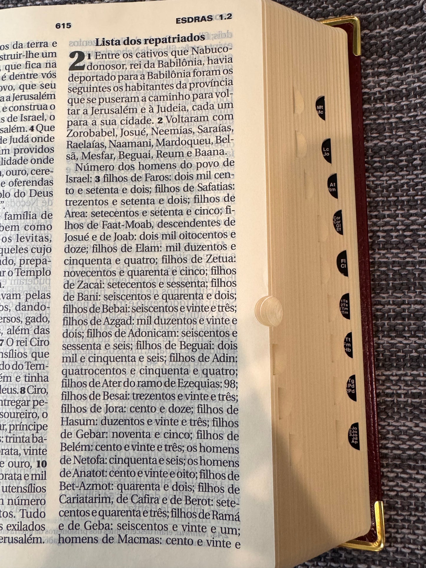Biblia Letra Grande