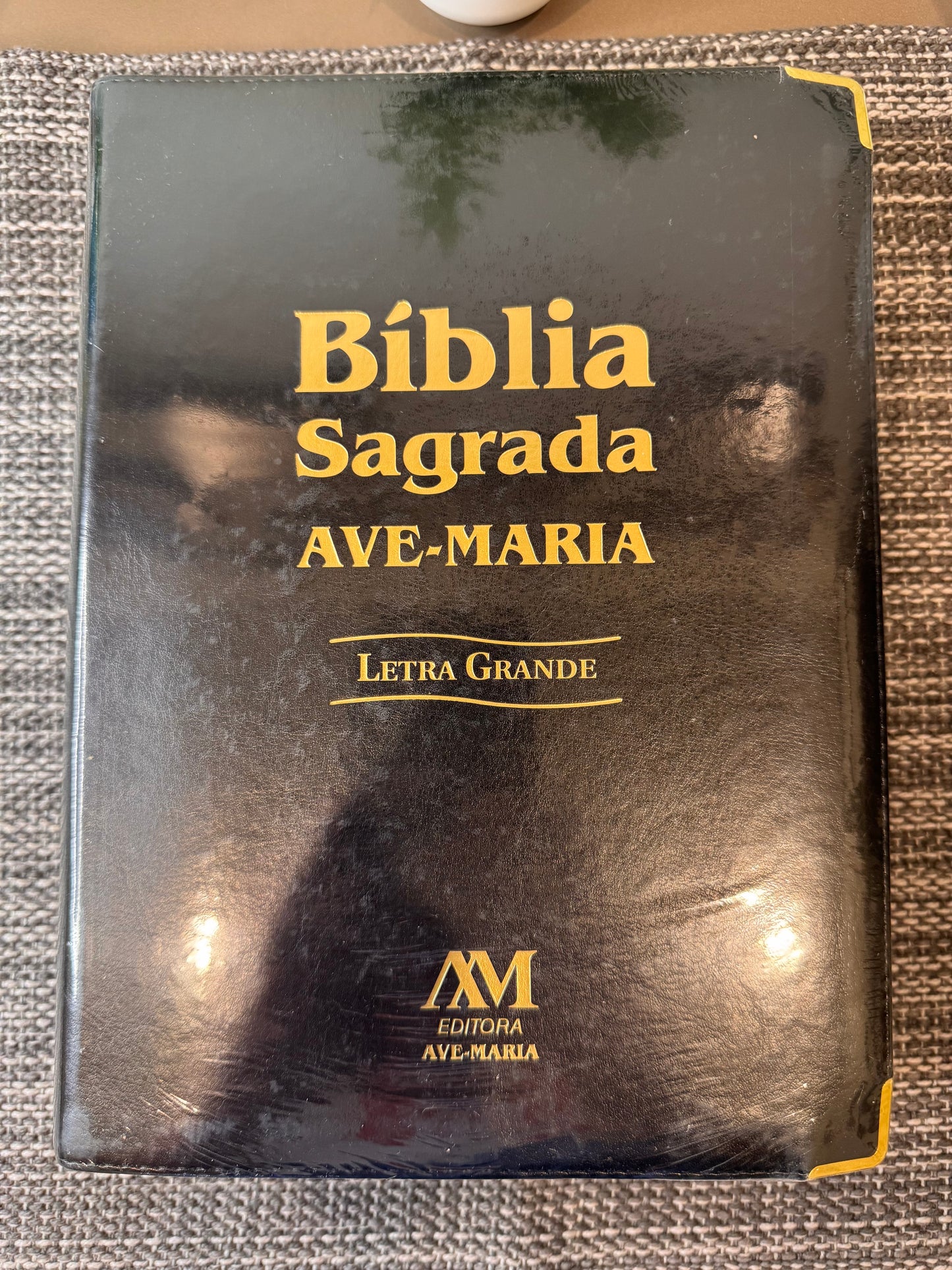 Biblia Letra Grande