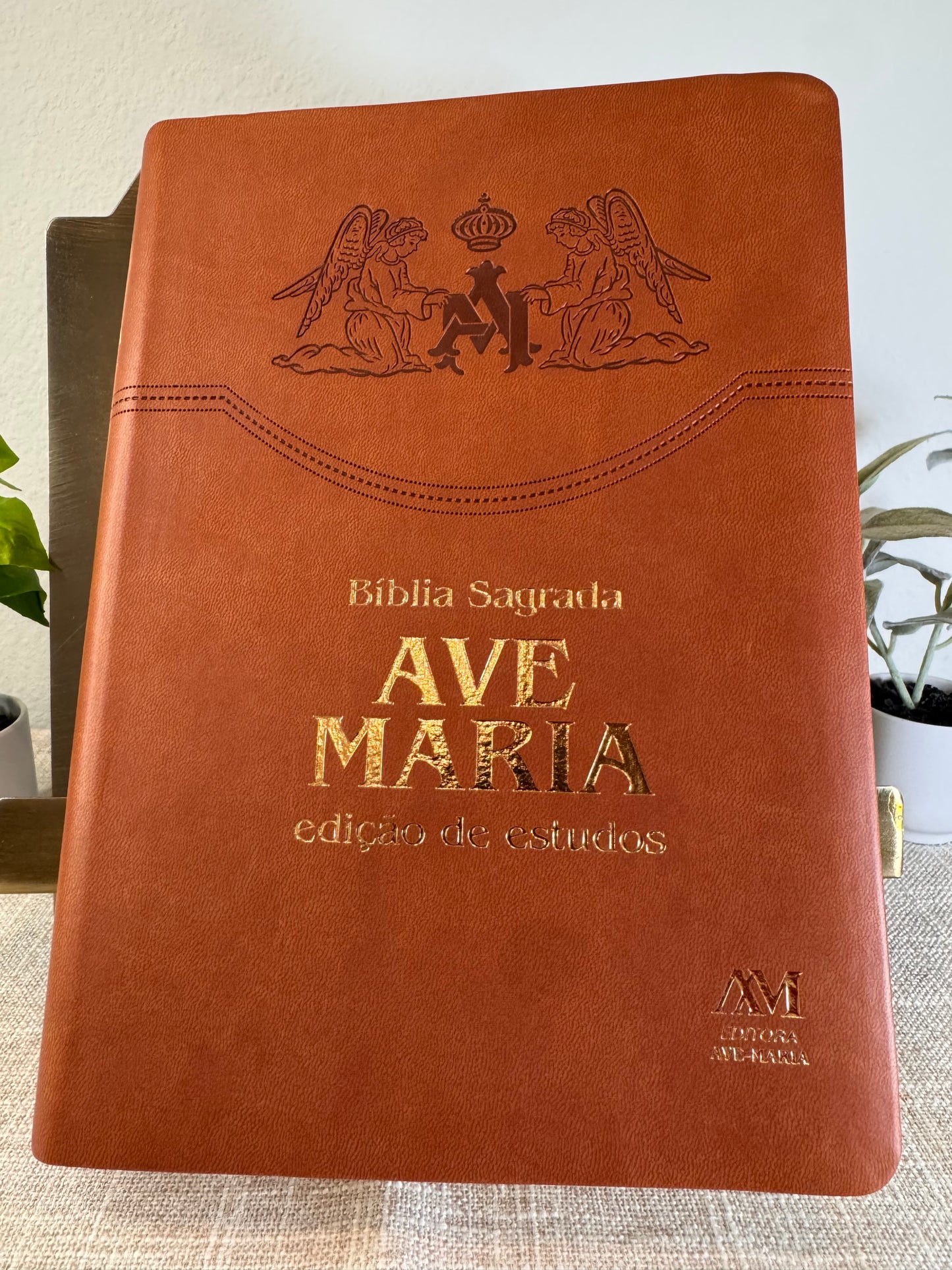 Bíblia de Estudos Ave-Maria