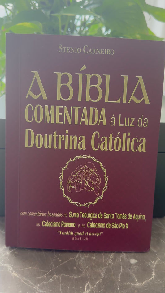 A Bíblia comentada à luz da Doutrina Católica - Stenio Carneiro